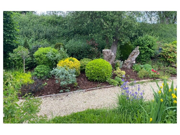 Newly established Garden Maintenance & Landscaping for sale Photo 6