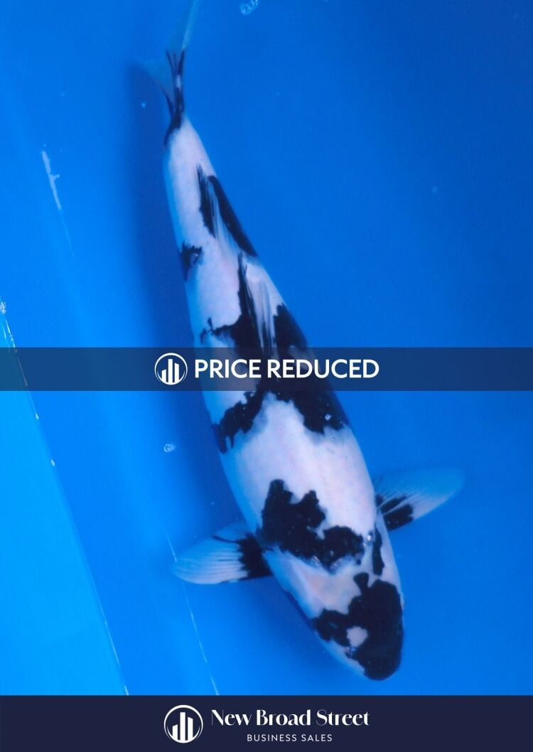 Koi Carp Business - Henley - OFFERS INVITED £125K