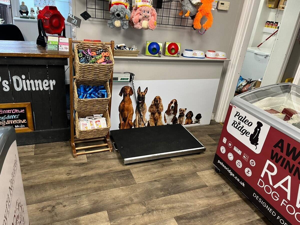 Dog food shop for sale in Crewe, Cheshire Photo 6