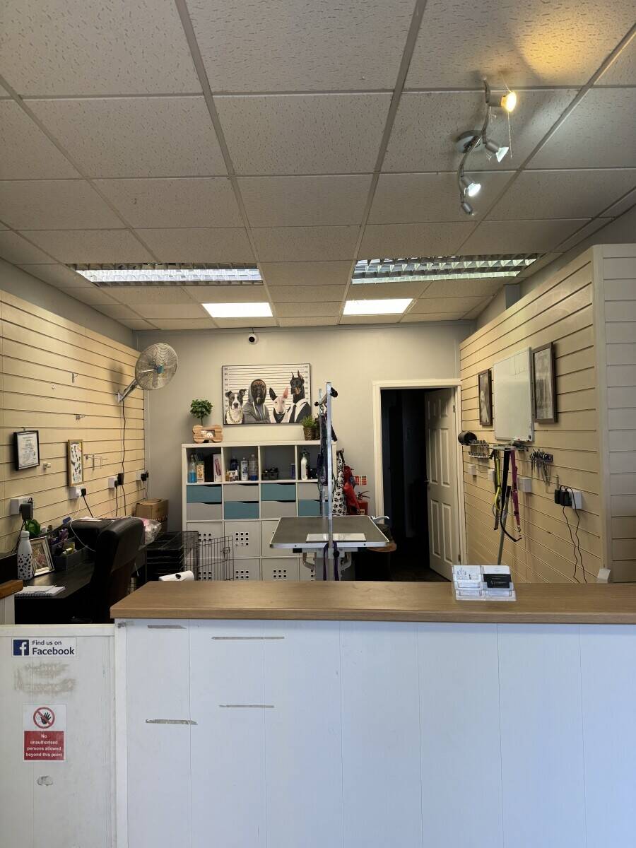 Dog grooming business for sale Tonypandy 