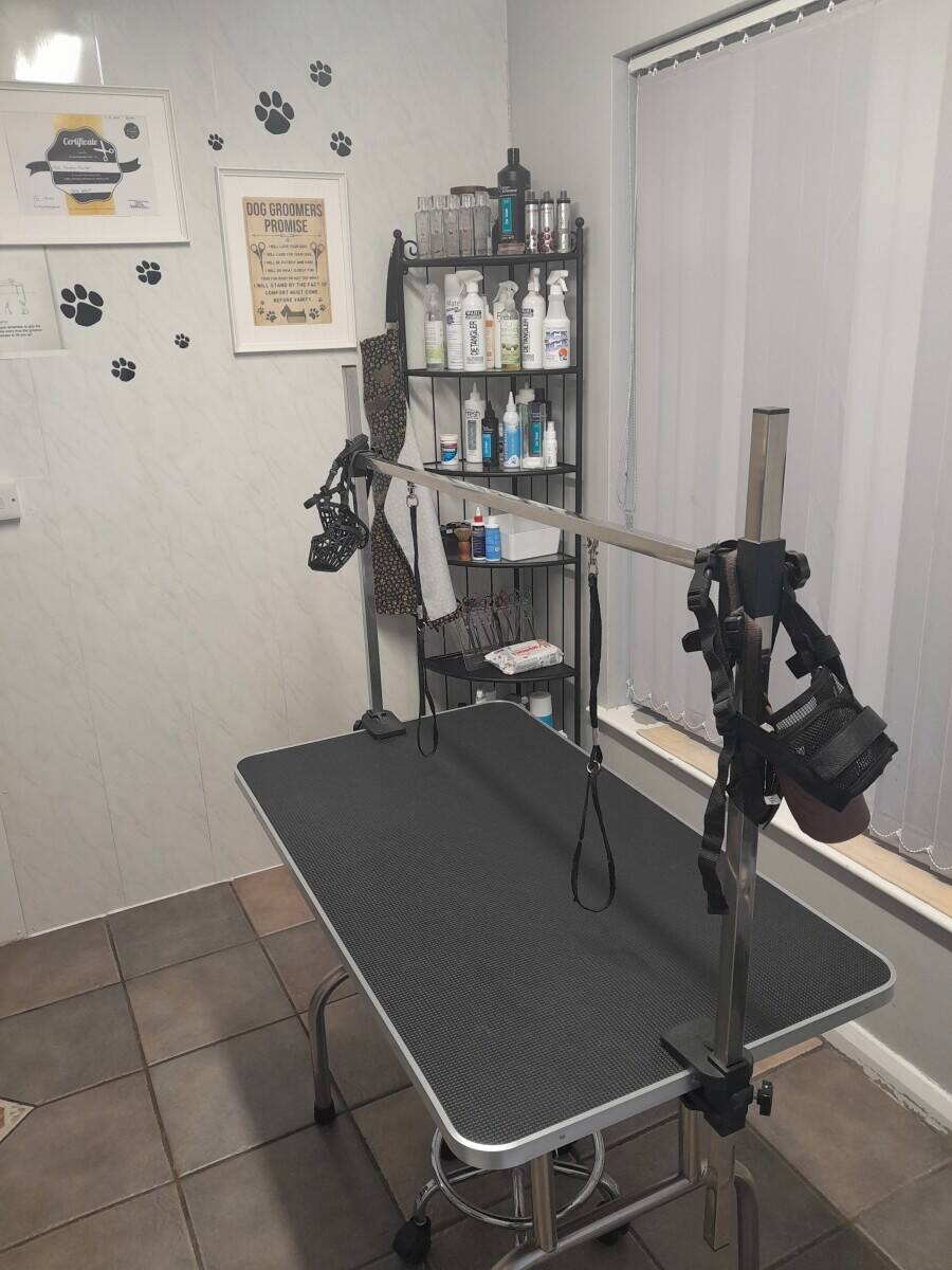 Doggie Wash and Grooming in Dorchester Photo 6