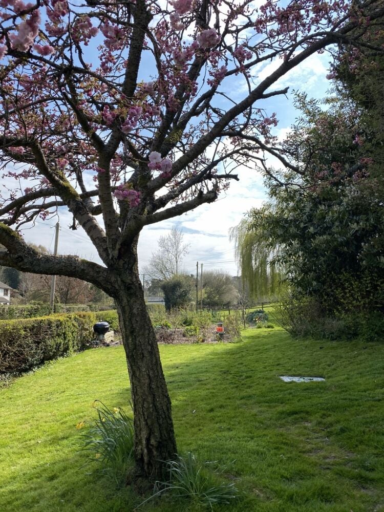 SUPERB OPPORTUNITY: THE BLACK BEAR INN, BETTWYS NEWYDD, MONMOUTHSHIRE