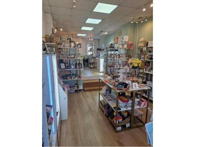 Curated, Classy & Profitable – Own This Gorgeous Gift Shop!