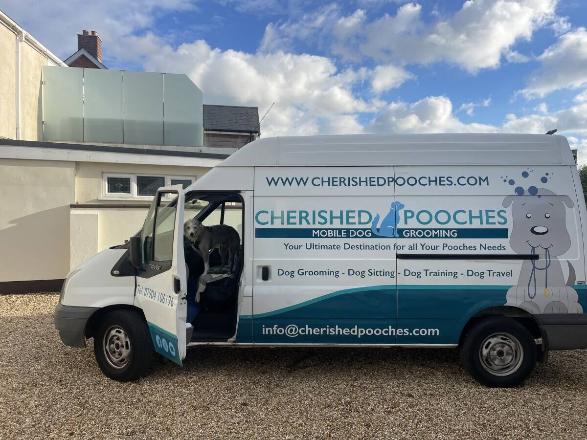 Mobile Dog Grooming Van Photo 6