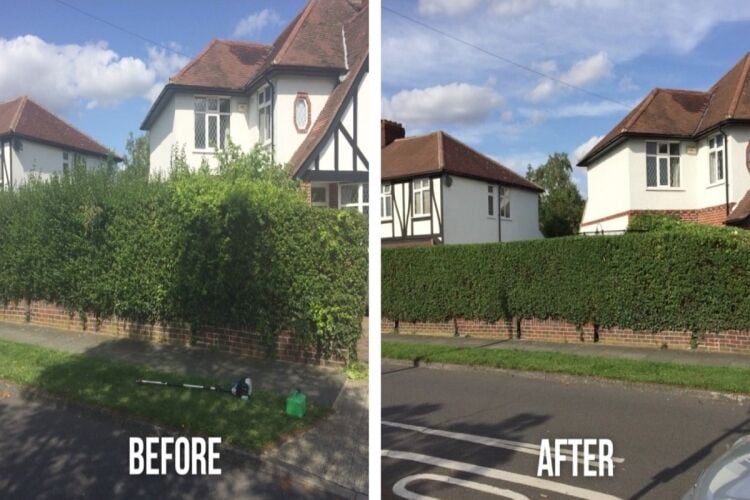 Relocatable Landscape Gardening Business Photo 6