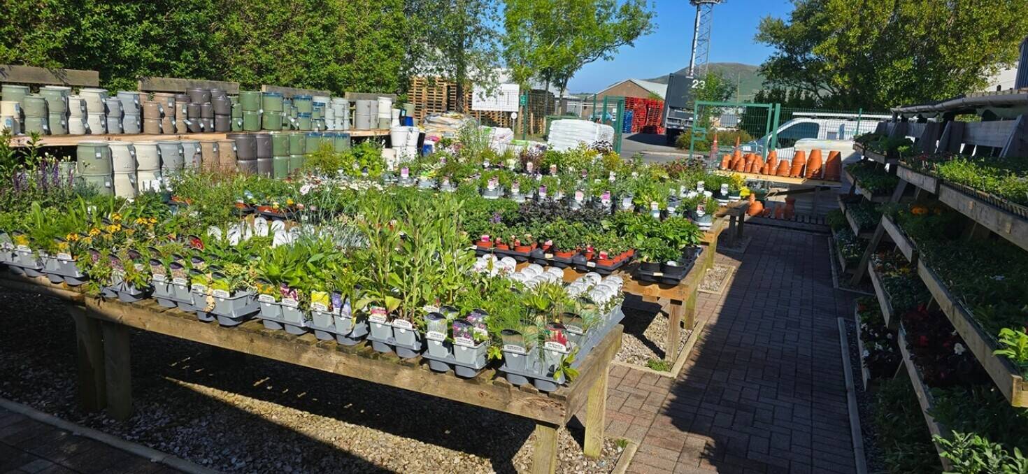 Garden Centre, Gift Shop & Cafe for sale on the Mid Wales Coast