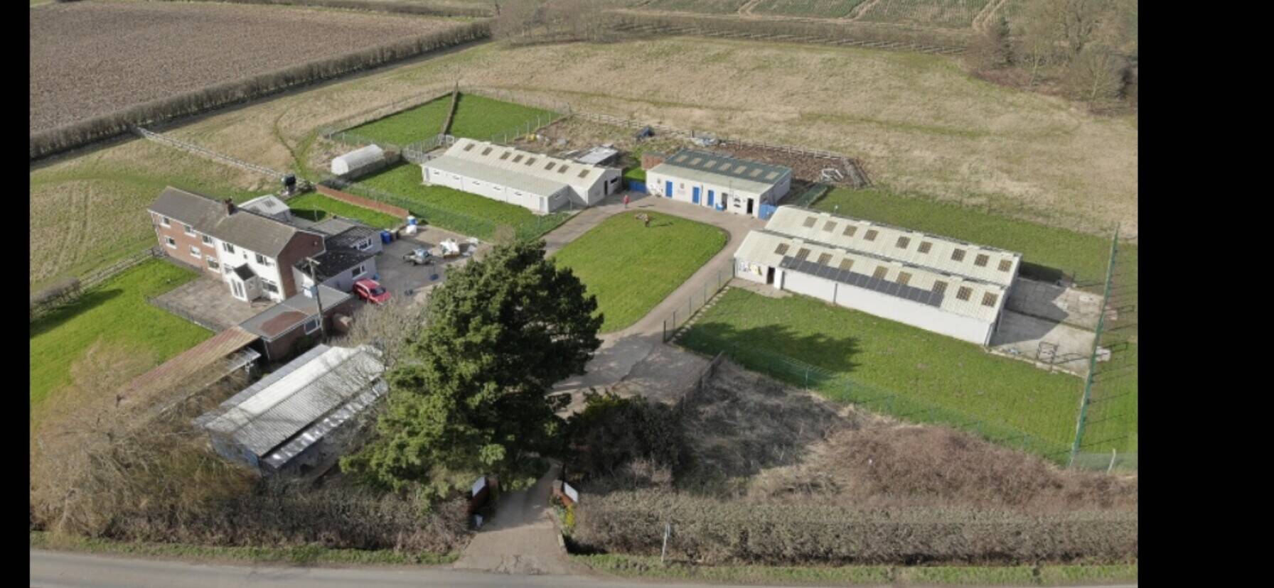 5 ⭐️ Kennels & Cattery set in 6 acres of countryside