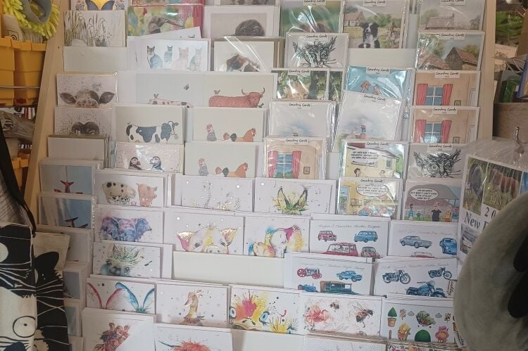 Hardware & Pet Supplies Business Photo 6