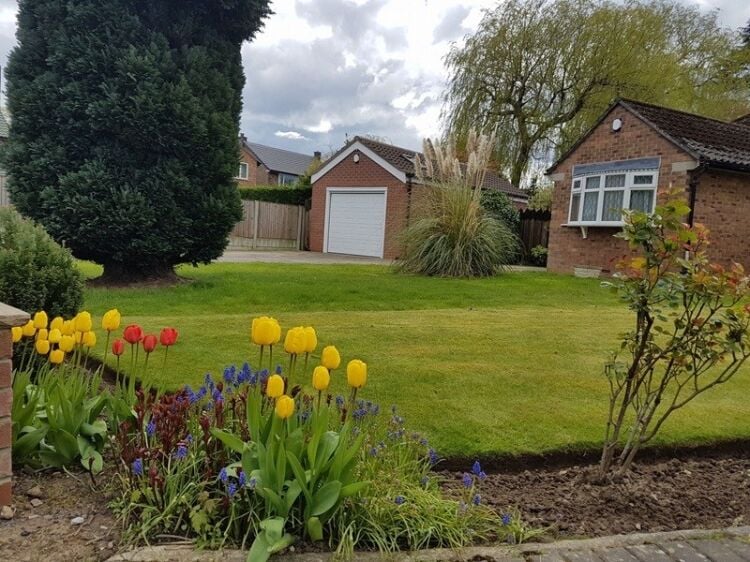 Cultivating Success – Established Garden Maintenance Business