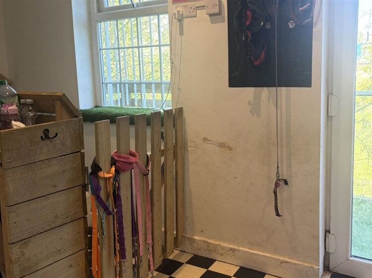 Pets, Supplies & Services For Sale in Brighouse