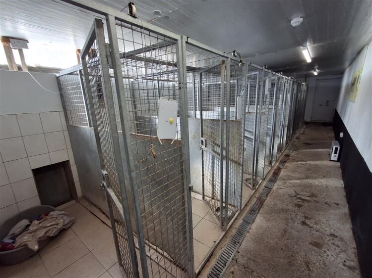 Kennels, Cattery & Equestrian businesses For Sale in Poulton-le-Fylde