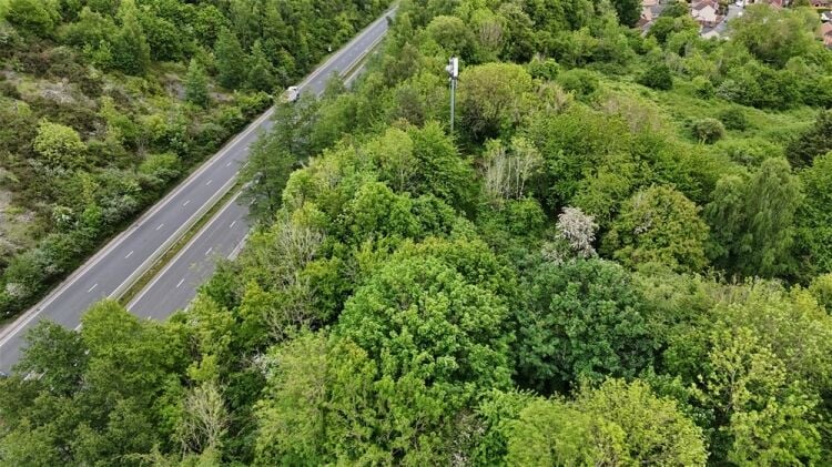 6 Acres of Land in Kingsteignton with Development Potential For Sale in Newton Abbot Photo 6
