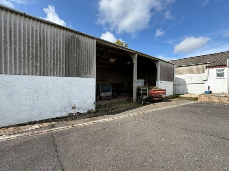 Family-run nursery and plant centre for sale in Mauchline East Ayrshire Photo 6