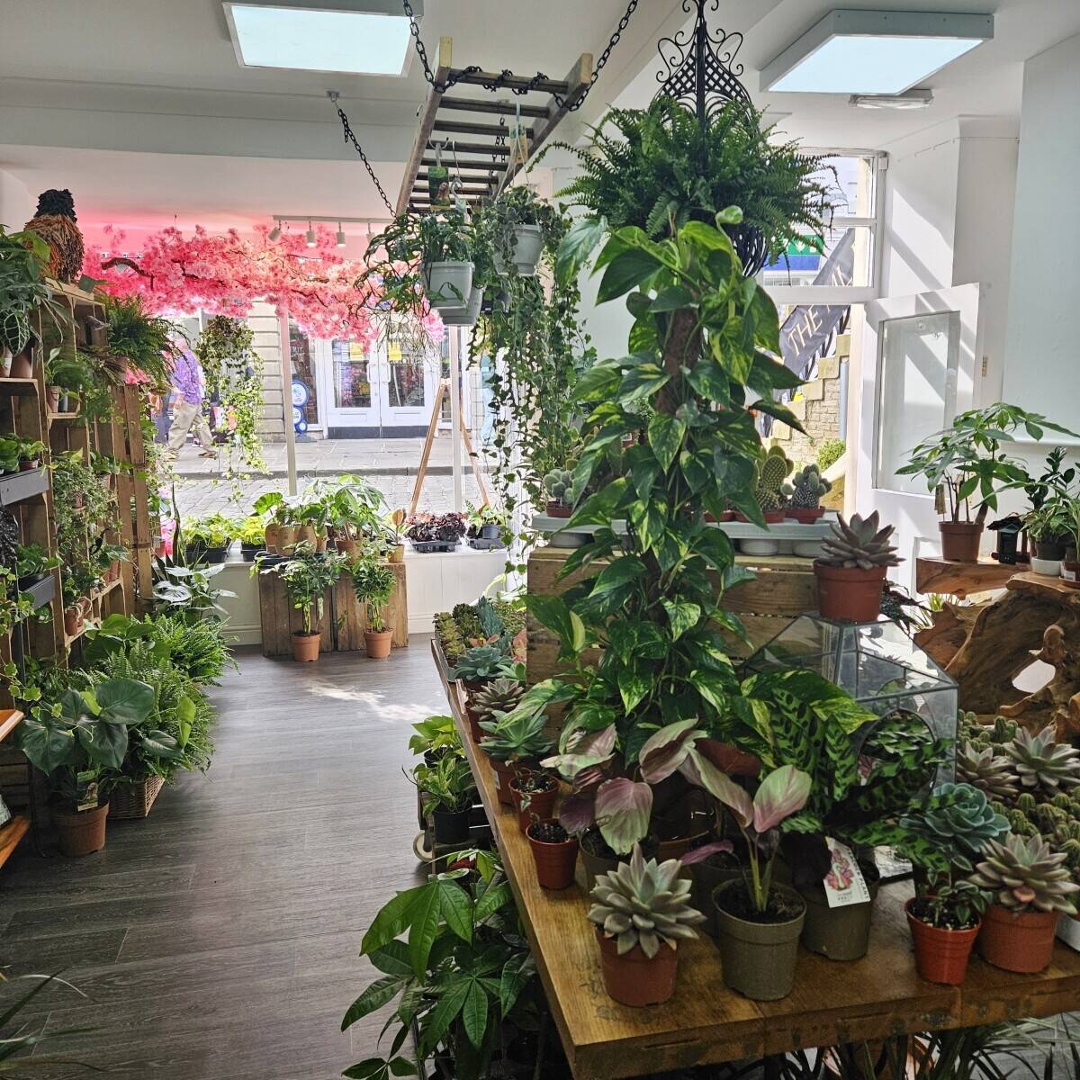 Retail Shop Skipton High st