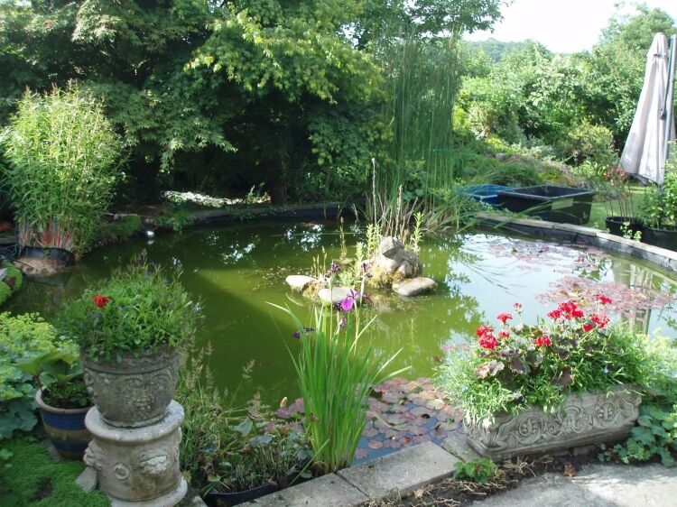GARDEN POND MAINTENANCE & INSTALLATION