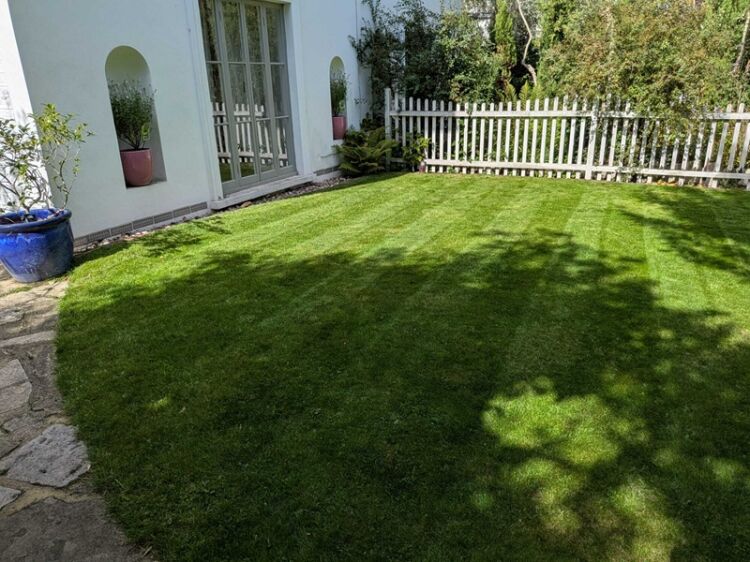 Bring Outdoor Dreams to Life – Thriving Landscaping & Garden Design Business Photo 6