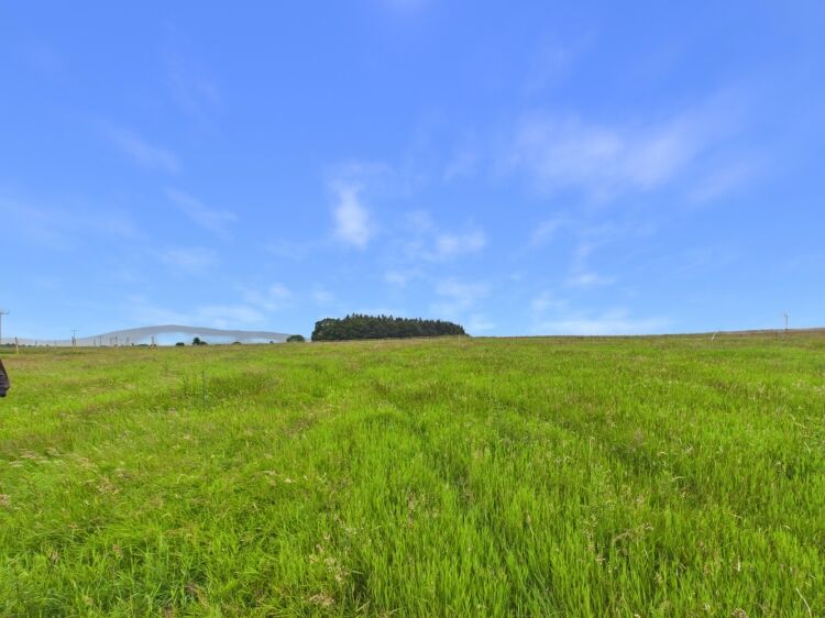 Business for Sale in Aberlour Moray Photo 6