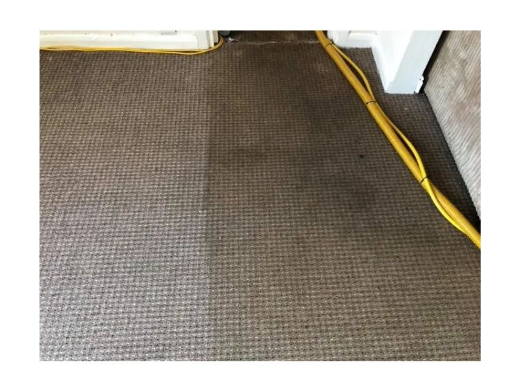 Bring Surfaces Back to Life – Thriving Carpet & Upholstery Cleaning Business Photo 6