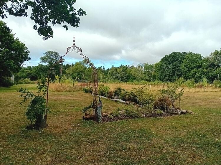 Beautiful Freehold Garden Nursery, Tea Rooms & Therapy Centre