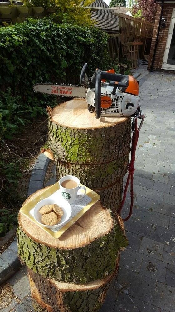 Established Tree Surgery Business - Derbyshire Photo 6