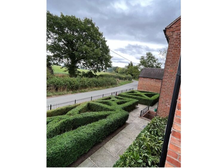 Make Outdoor Spaces Shine – Established Gardening & Landscape Maintenance Business Photo 6