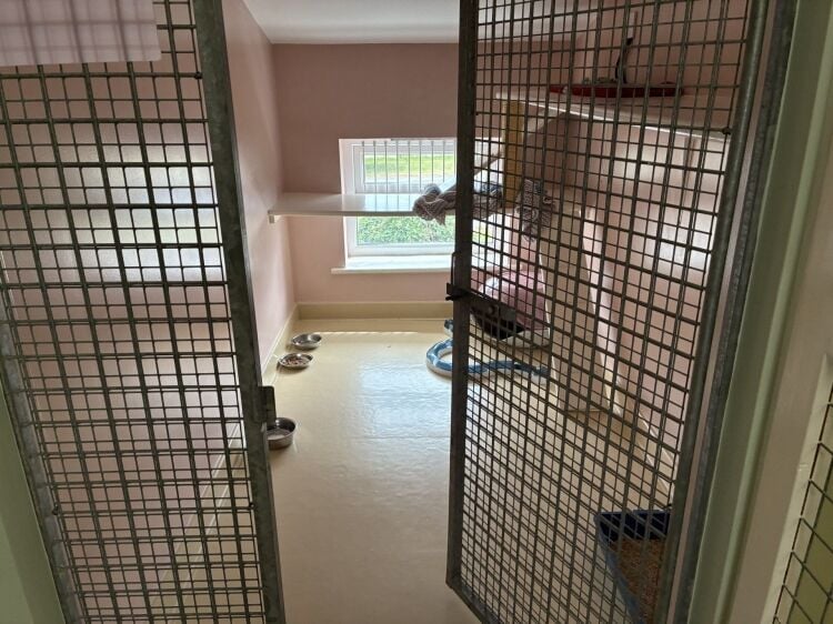 Highly Rated Boarding Kennels and Cattery with detatched 5 Bedroom House