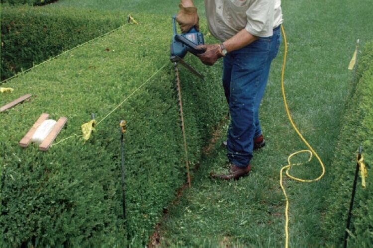 Established Relocatable Gardening Business