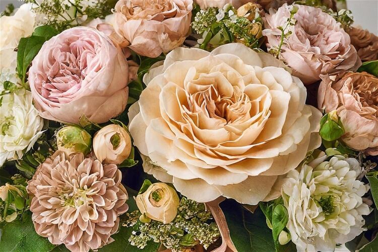 FLORIST AND GIFT BOUTIQUE