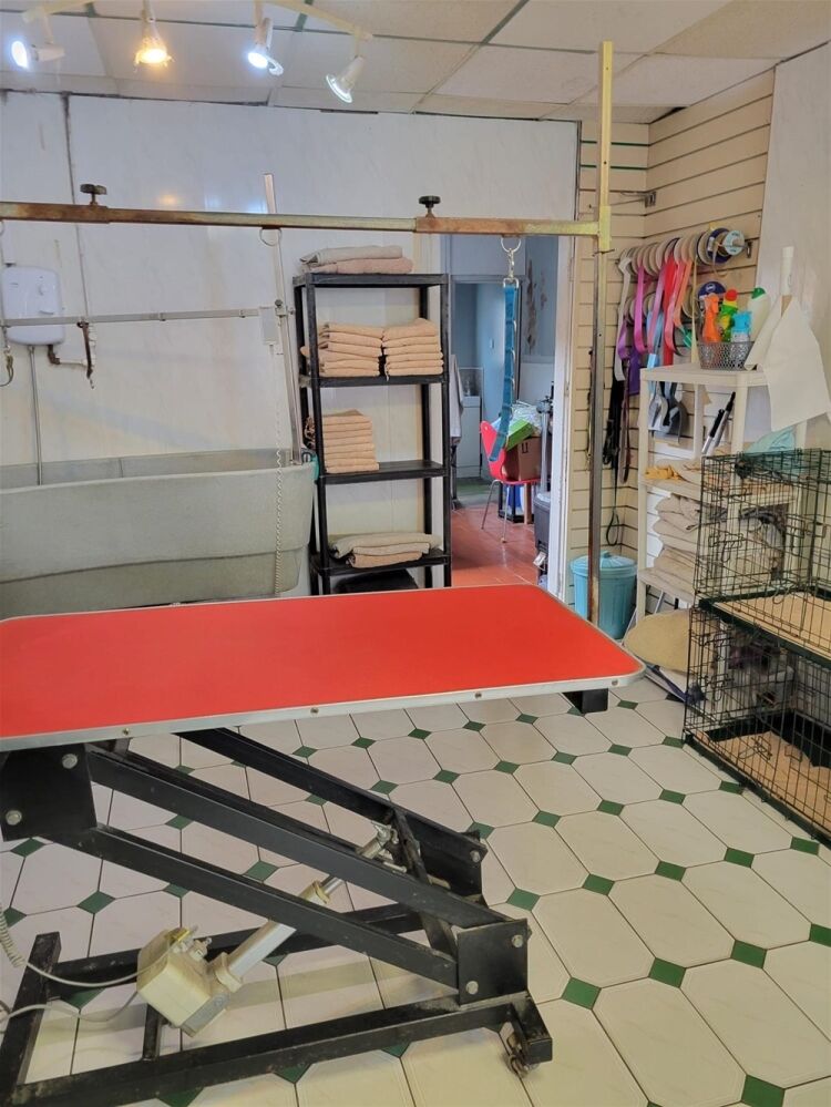 Established Dog Grooming Centre in Prime Staffordshire Location