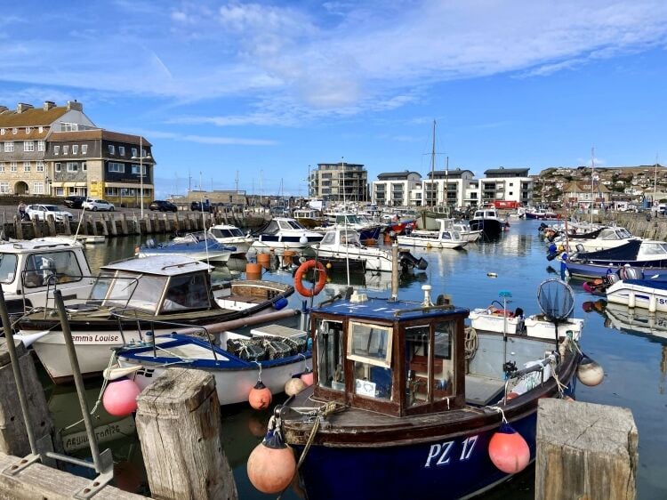 HARBOURSIDE FAST FOOD/FISH & CHIPS/ICE CREAM PARLOUR WITH SEATING, ALSO RETAILING SOME BEACH GOODS Photo 6