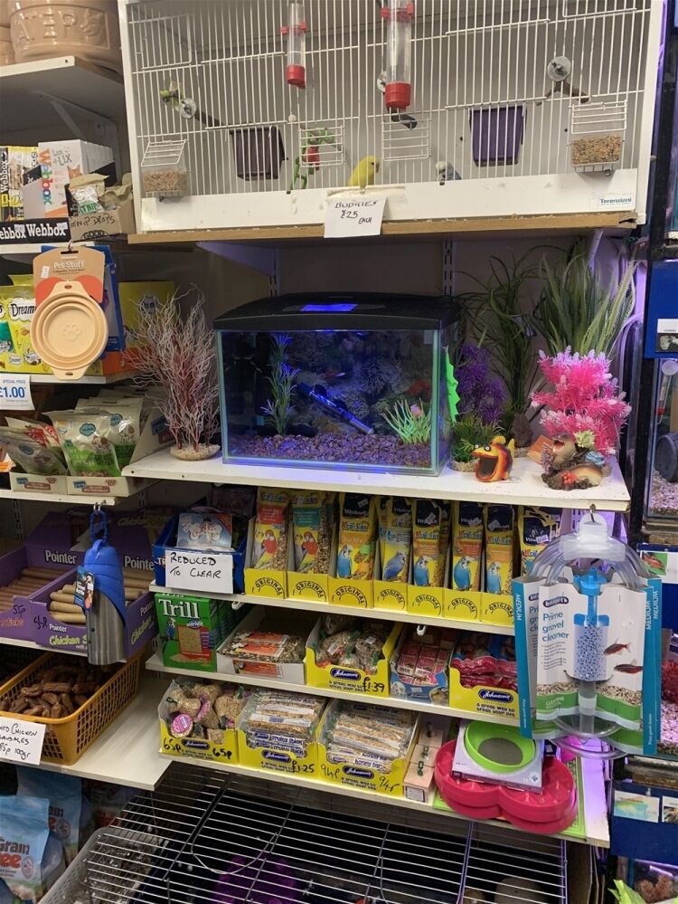 LIVE PETS & AQUATICS town centre High Street BRECHIN Photo 7