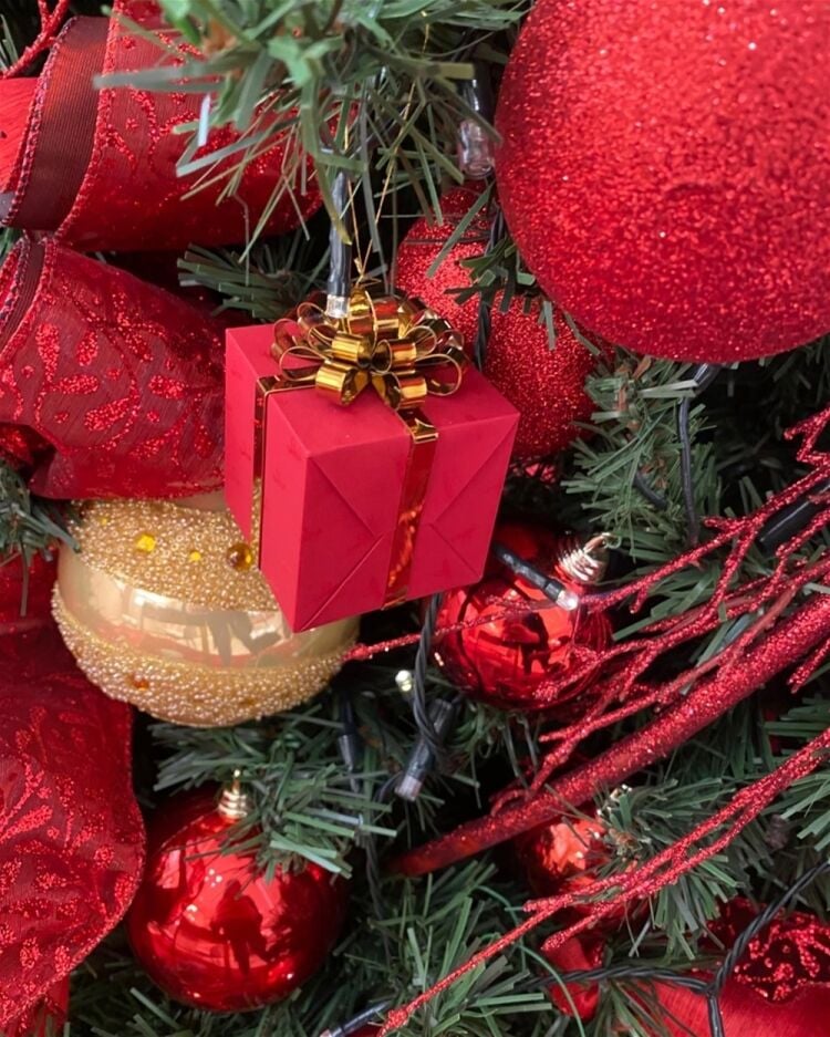 A SPECIALIST IN DESIGNING AND INSTALLING CHRISTMAS LIGHTING DISPLAYS
