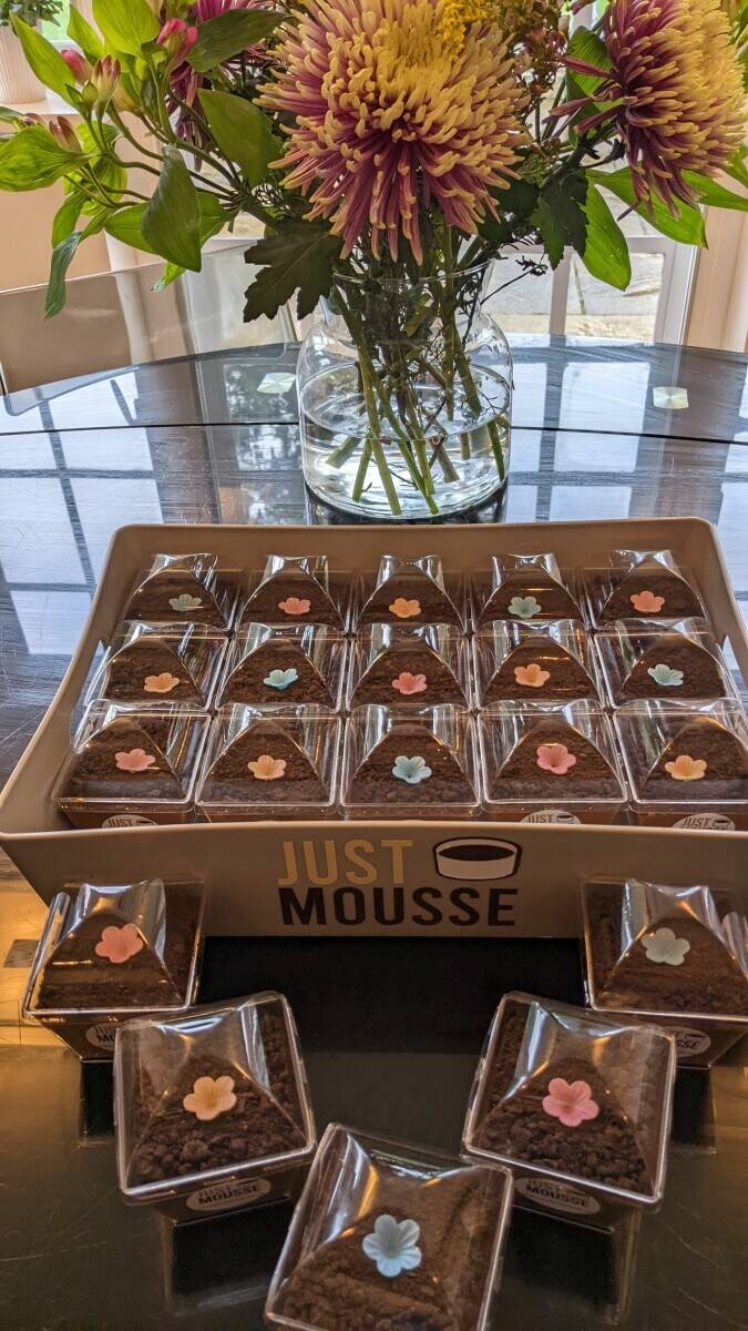 Luxurious Chocolate Mousse Business from Home FOR SALE.  861% Profit Margin Photo 8