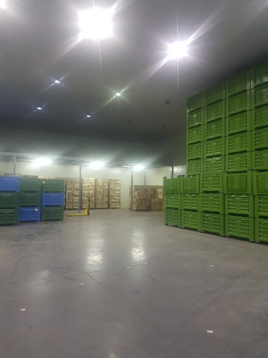 A wholesale complex with cold storage and an office building with offices Photo 7