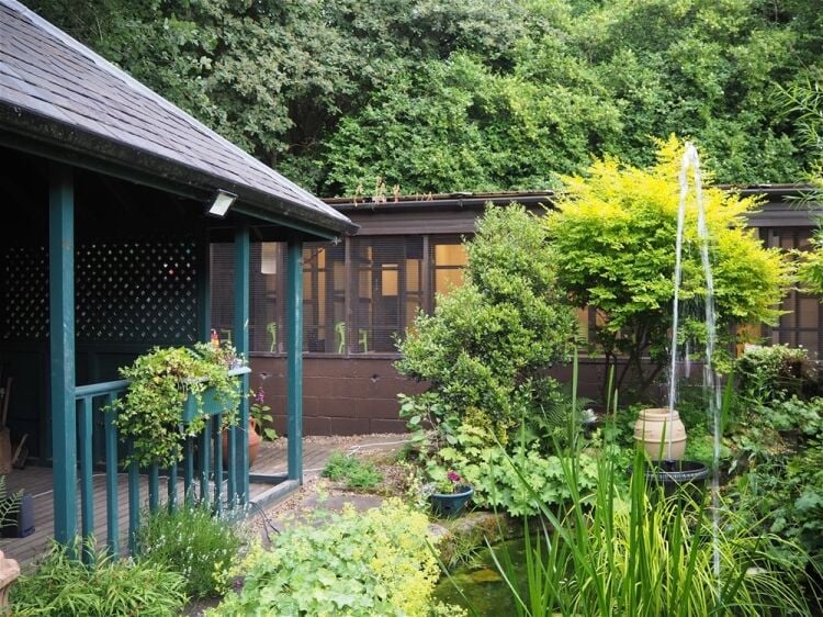 Kennels, Cattery & Equestrian businesses For Sale in Normanton