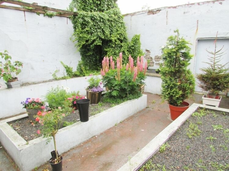 Busy Florist Business/Investment Opportunity