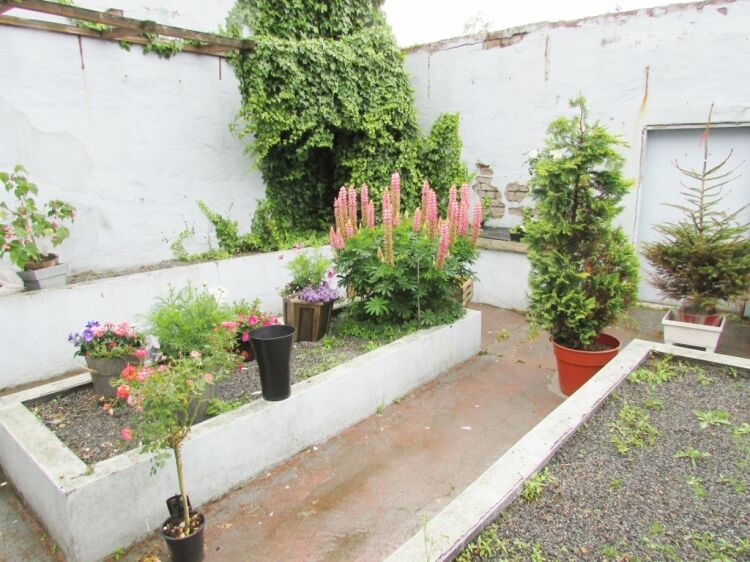 Busy Florist Business/Investment Opportunity Photo 7