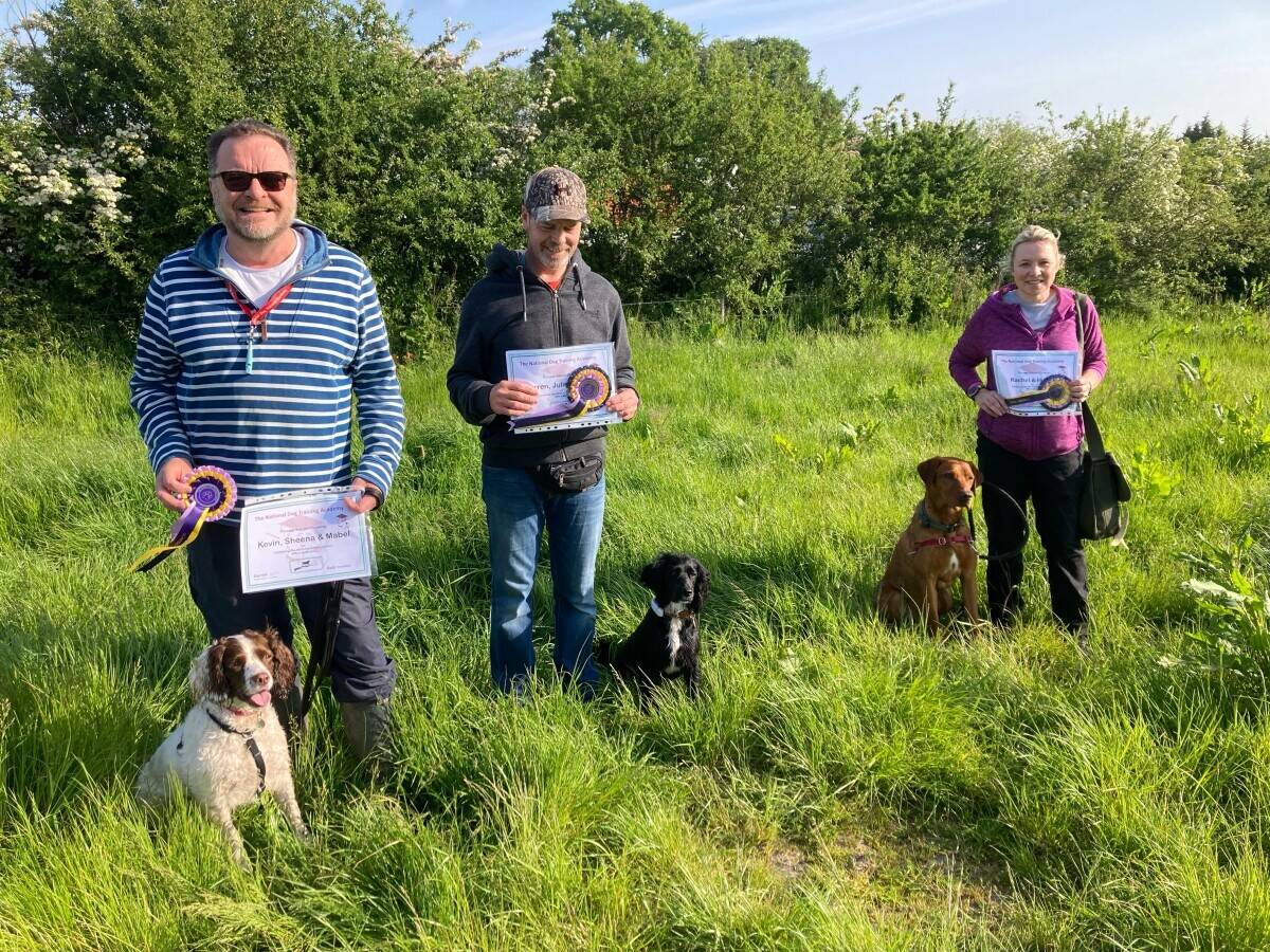 Established Dog Training Academy for Sale, Southern Hampshire