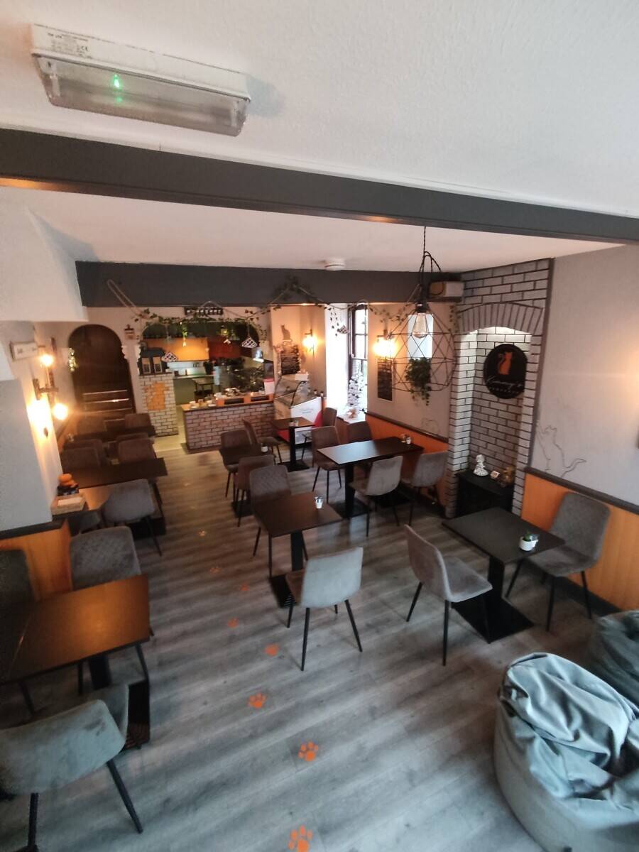 Pancakes and Waffles in Cornwall