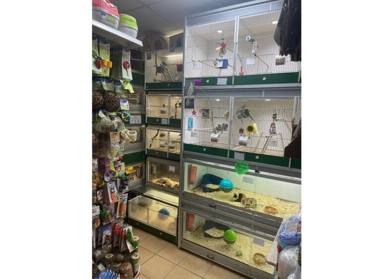 Extremely well established Pet Shop for sale Photo 7