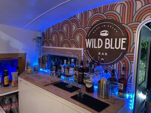 Mobile Bar - Vintage Caravan Bar - with website and bookings for 2024 in Devon
