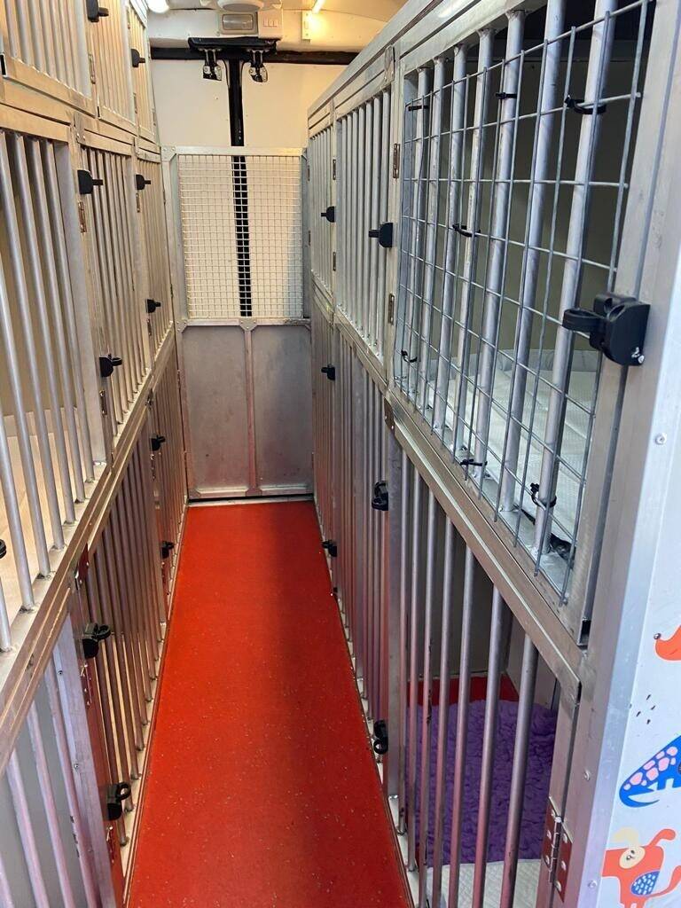 International Pet (Dogs and Cats) Transport Van - with all Licenses