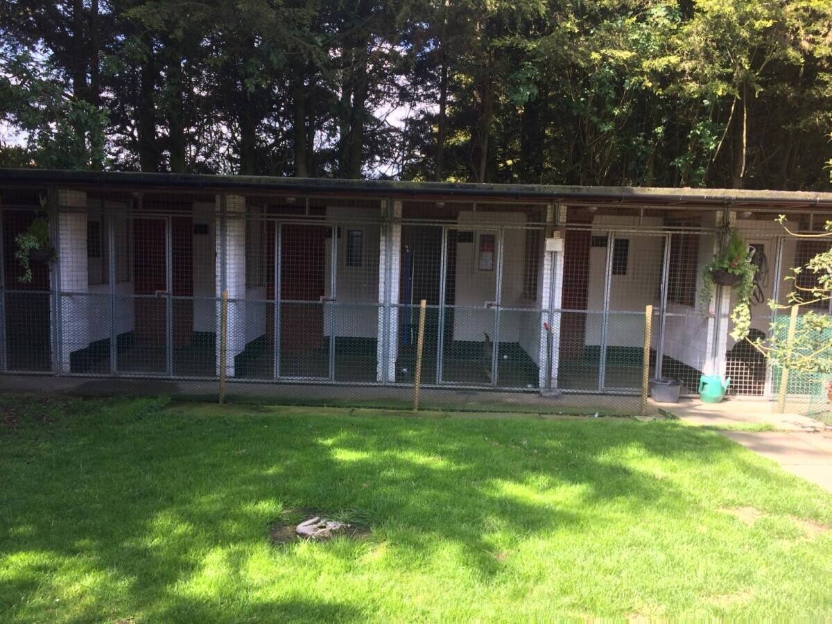 Kennels and cattery in Leicestershire with Accommodation
