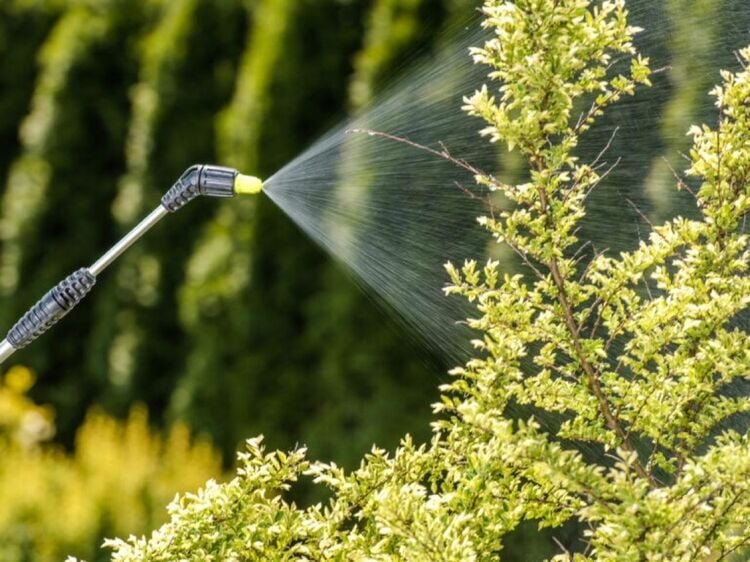 Relocatable Pest Control/Hygiene Company