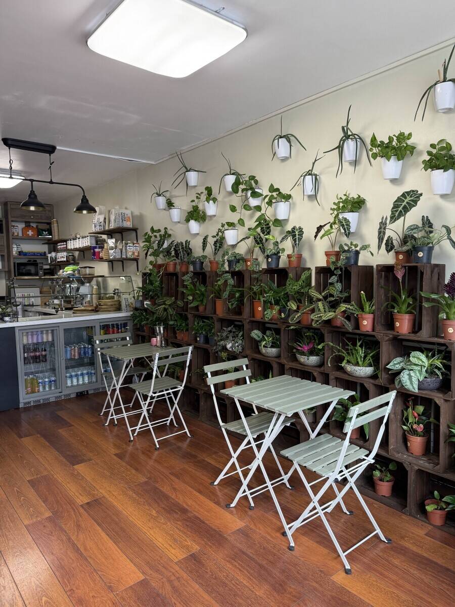 Profitable Plant Caf&eacute; In Highbury For SALE  - No business rates Photo 7