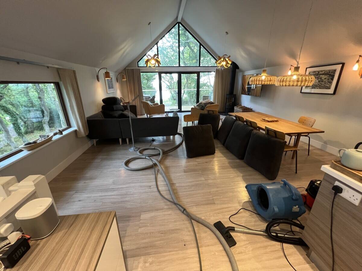 Carpet and upholstery cleaning business
