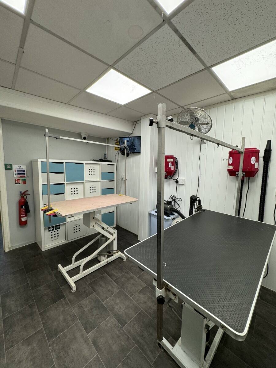 Dog grooming business for sale Tonypandy  Photo 7