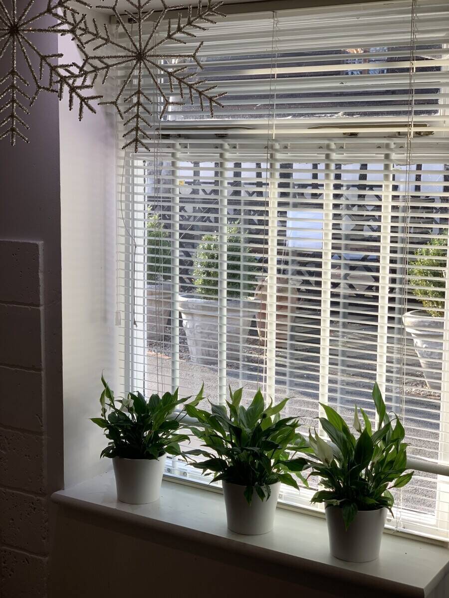 Hair Salon set in a beautiful converted stables for sale In Uckfield, East Sussex