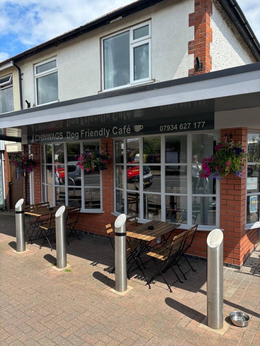 Dog friendly cafe