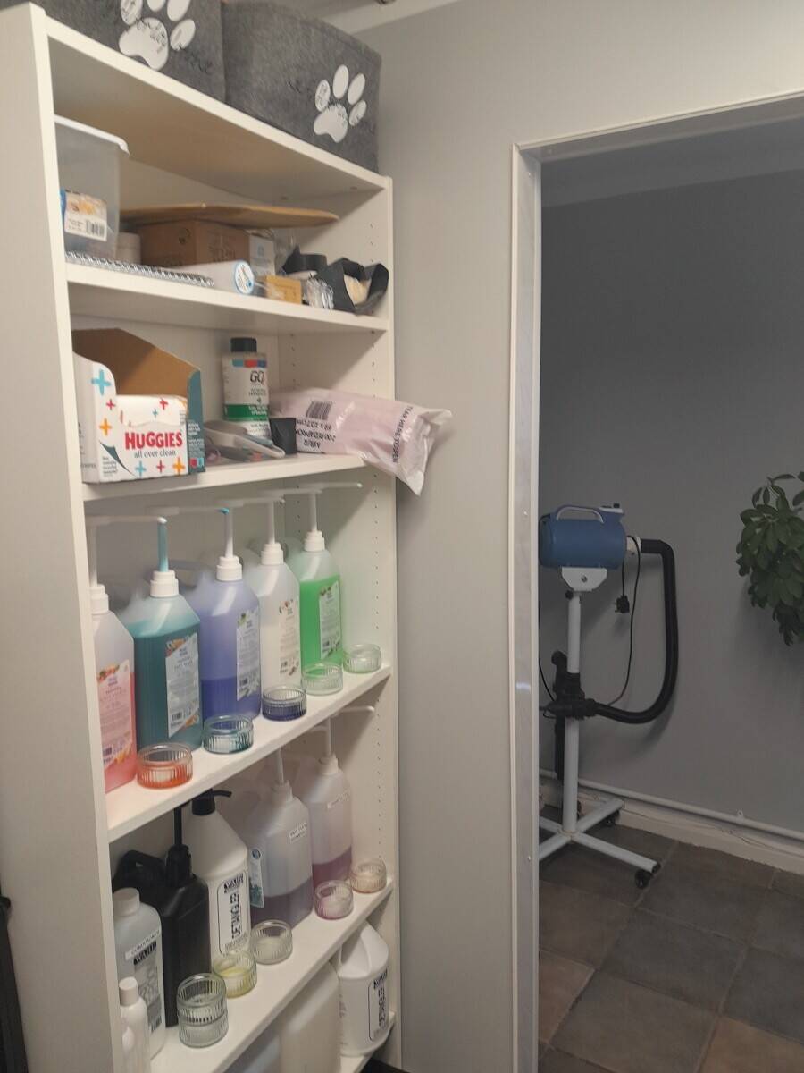 Doggie Wash and Grooming in Dorchester
